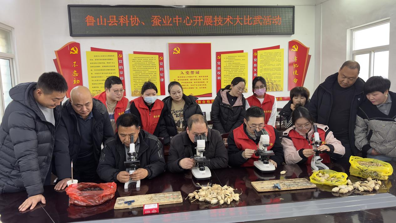 图片3.jpg