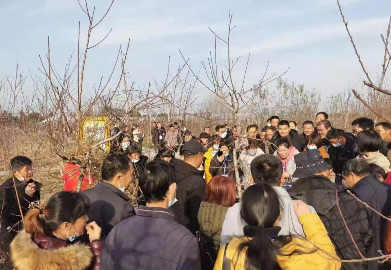 图片5.png