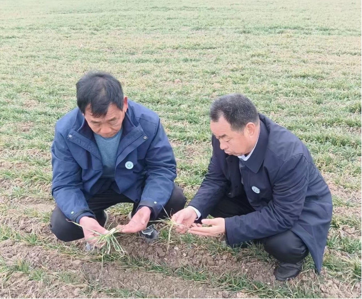 图片1.jpg