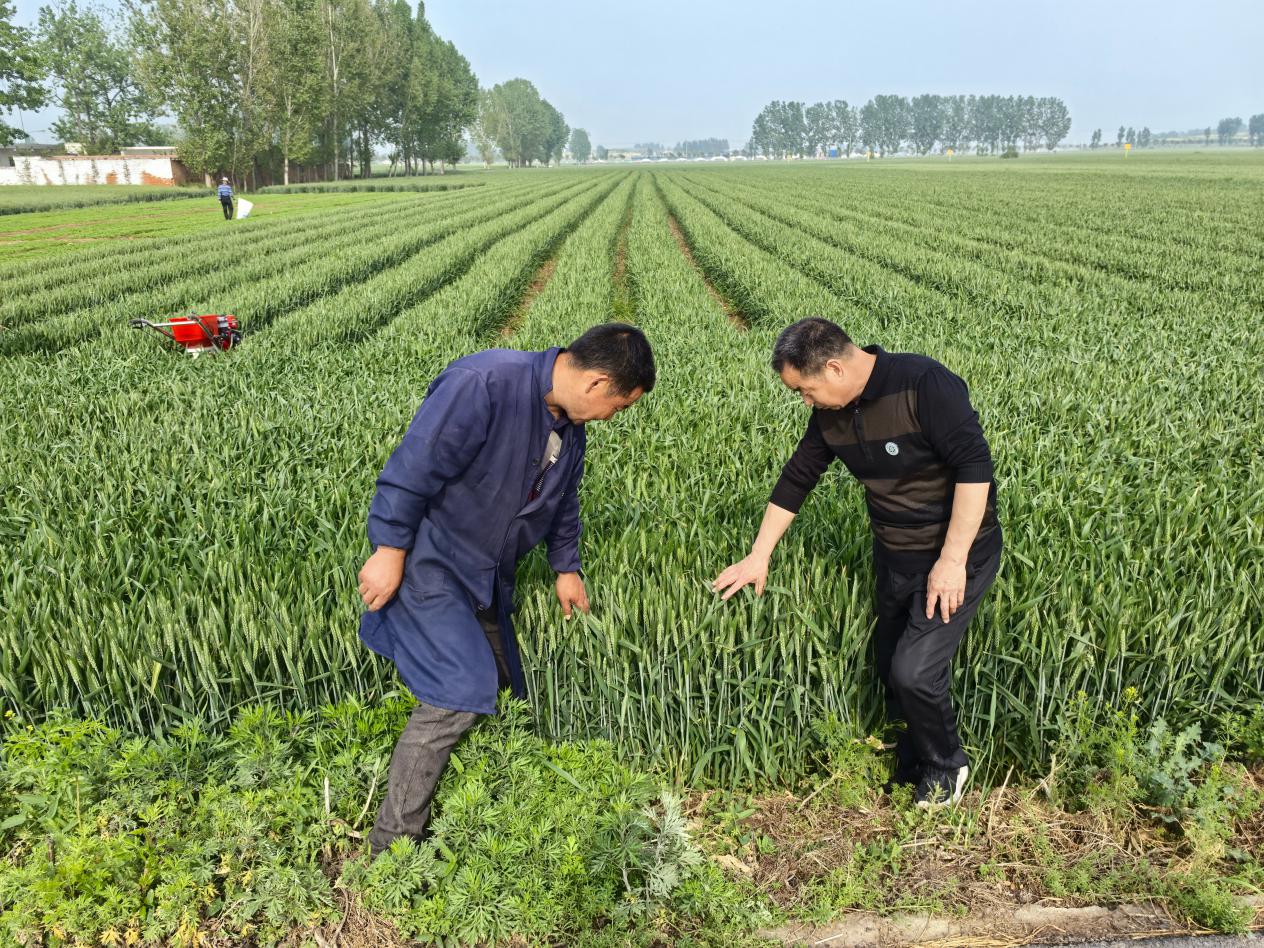 图片1.jpg