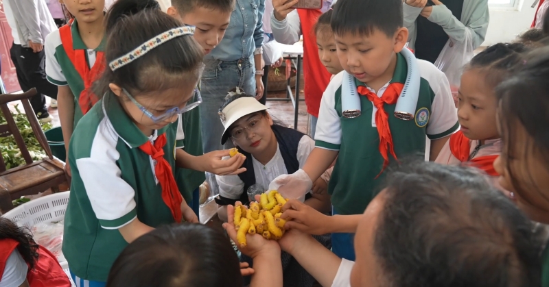 图片2.jpg