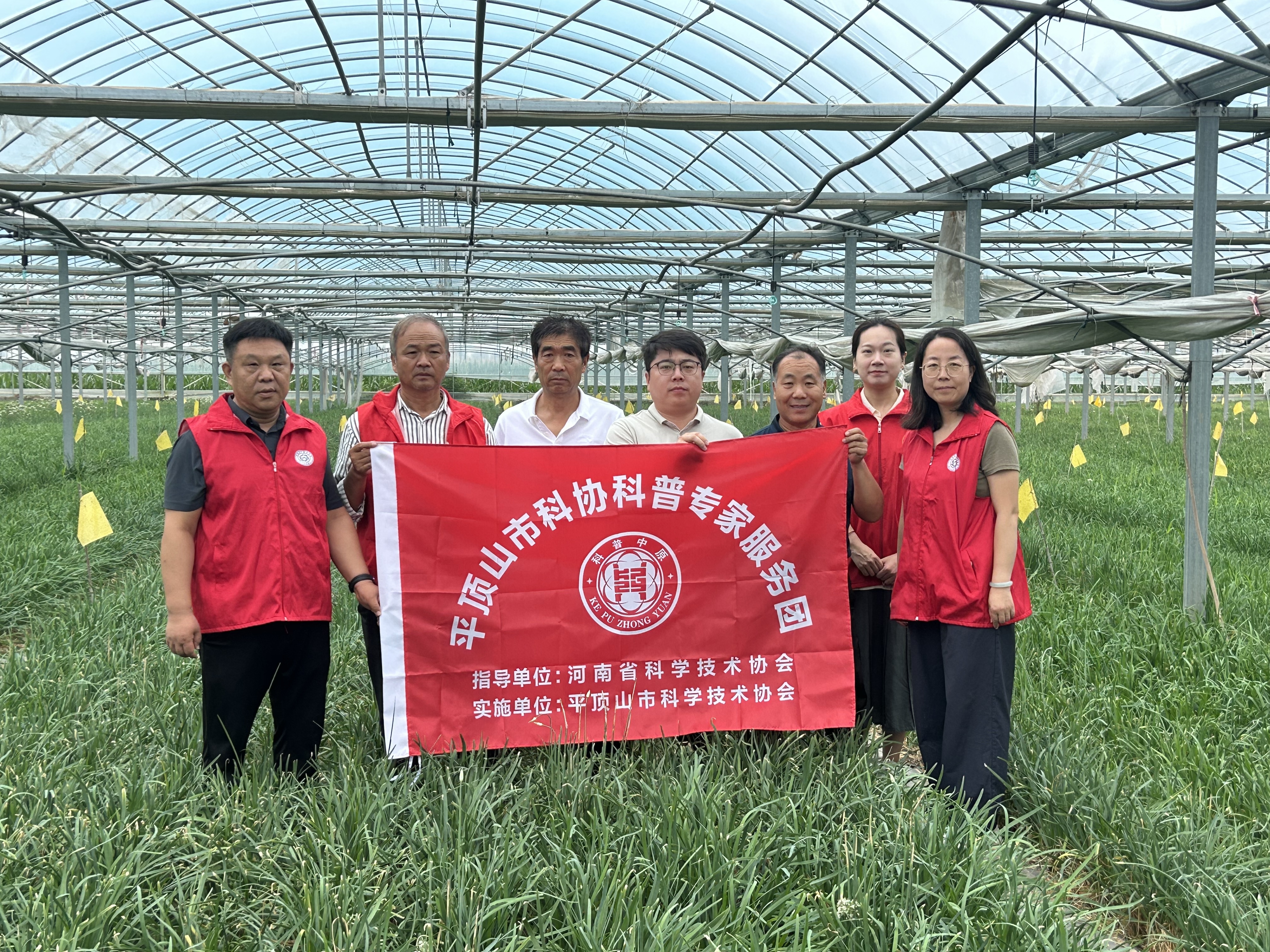0729市科协科普专家服务团叶县任店镇韭菜基地1